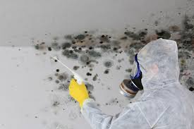 Pendleton, OR Mold Removal Company